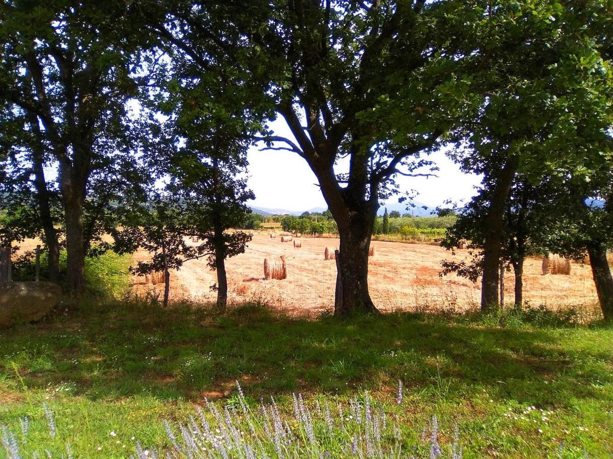 Agriturismo La Dependance Sorano  Esterno foto