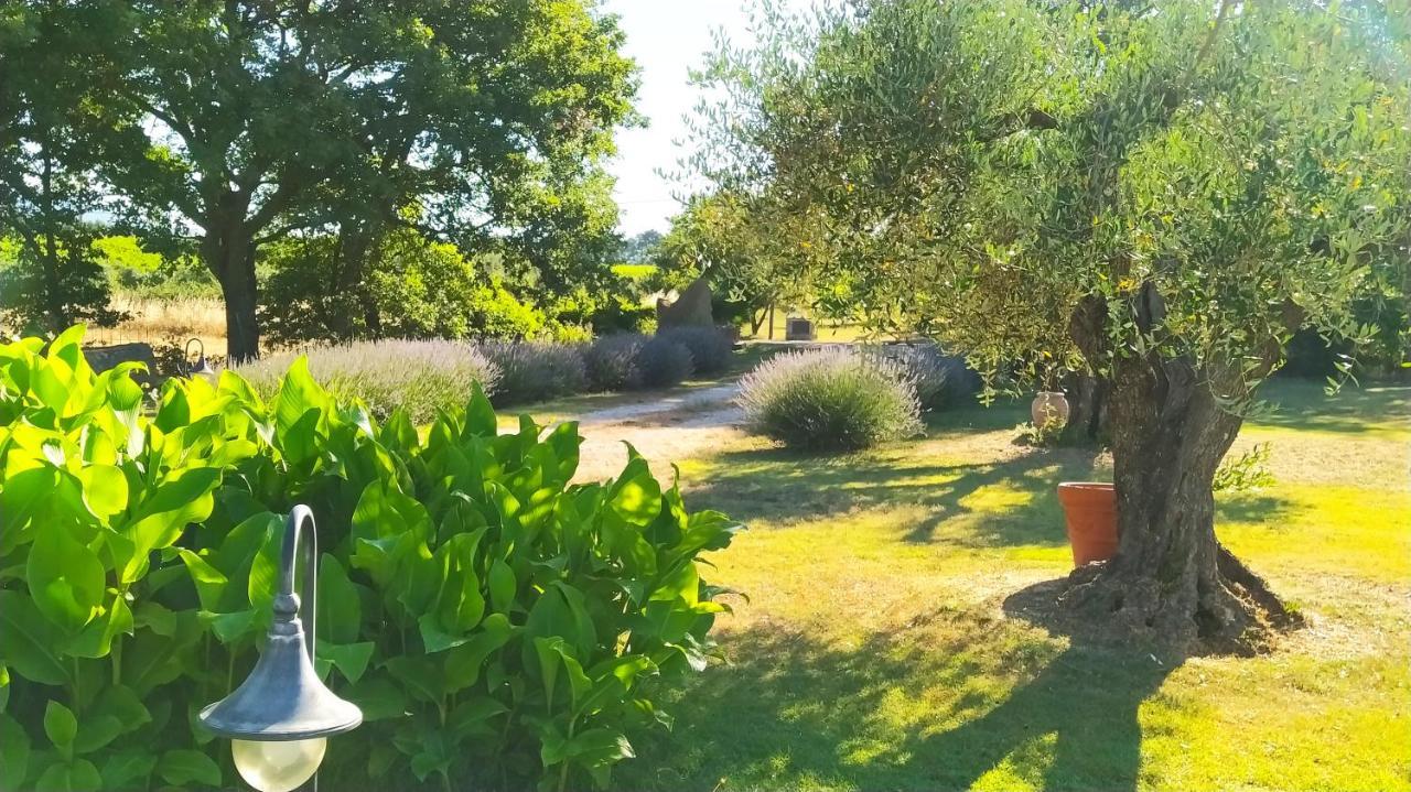 Agriturismo La Dependance Sorano  Esterno foto