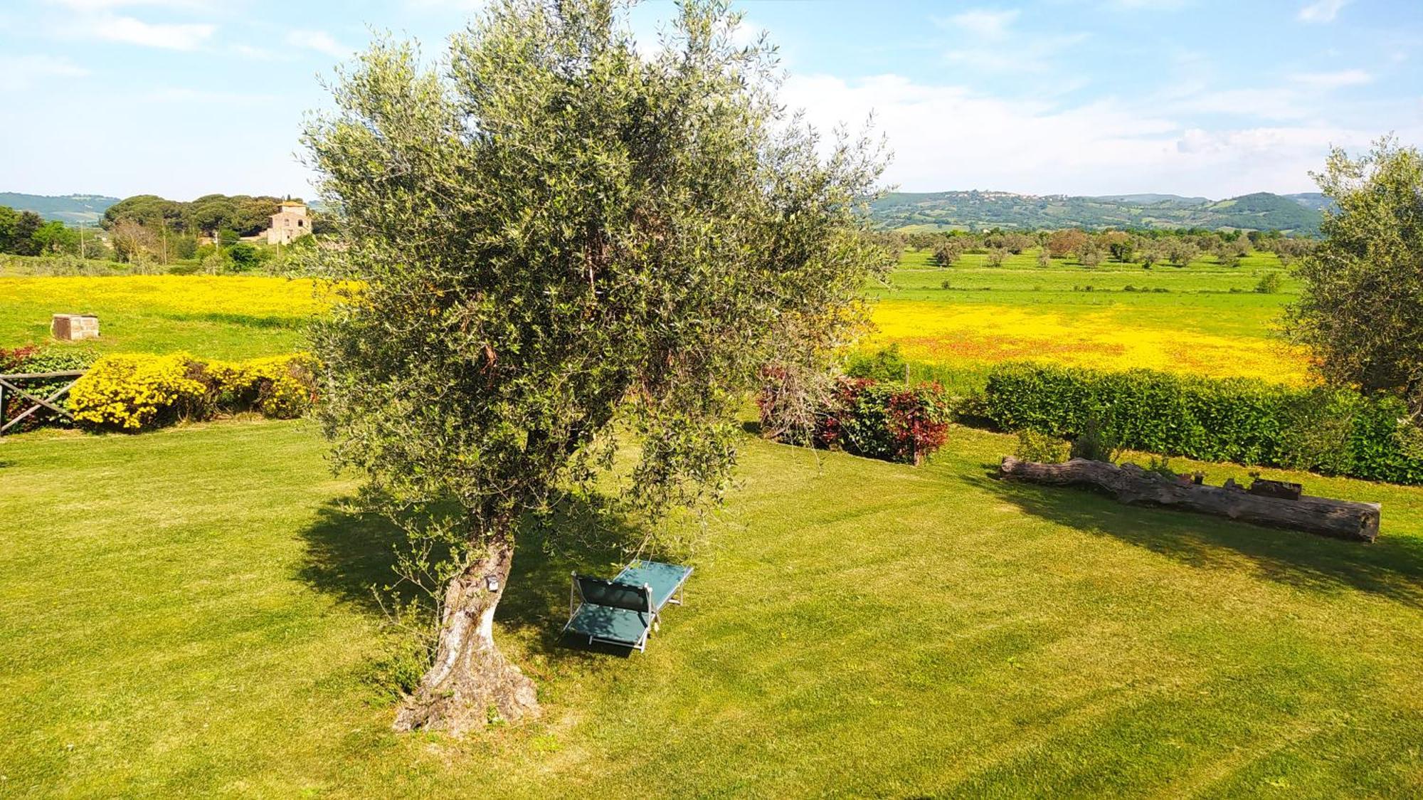 Agriturismo La Dependance Sorano  Esterno foto